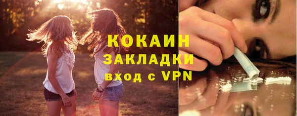гашик Касимов