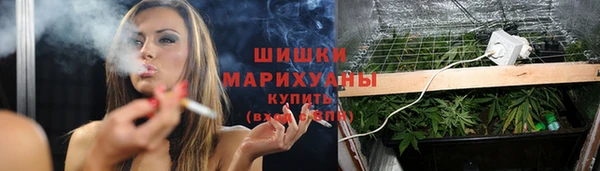 гашик Касимов