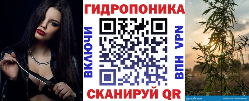 Бошки Шишки гибрид  Купить  Карасук 